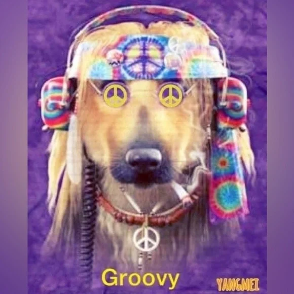 LIVE TODAY 1:00 PM EST FREE PEOPLE & HANDMADE KANTHAS/PATCHWORK PIECES π₯ - Picture 5 of 14